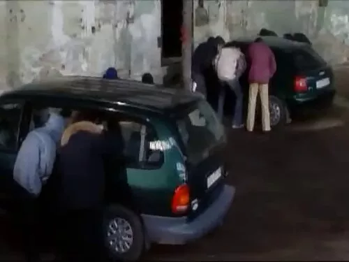 Frumusețea mamici fu ...